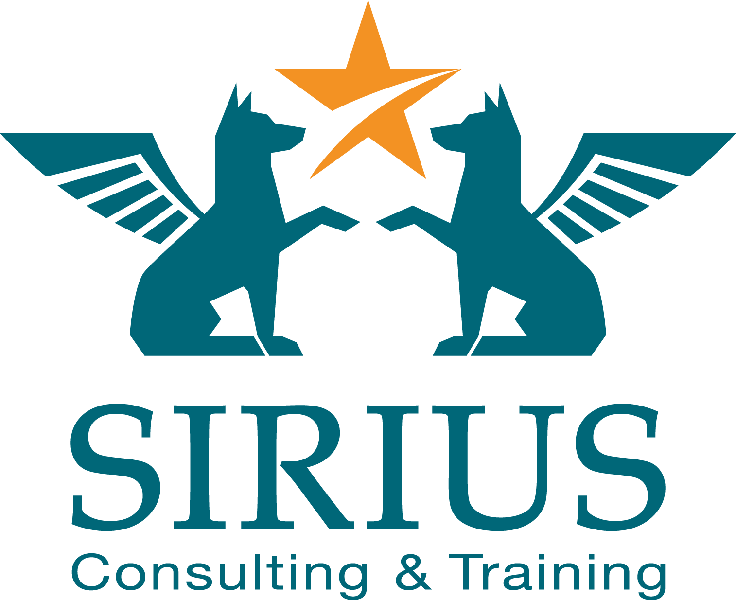 SIRIUS Consulting & Training GmbH
